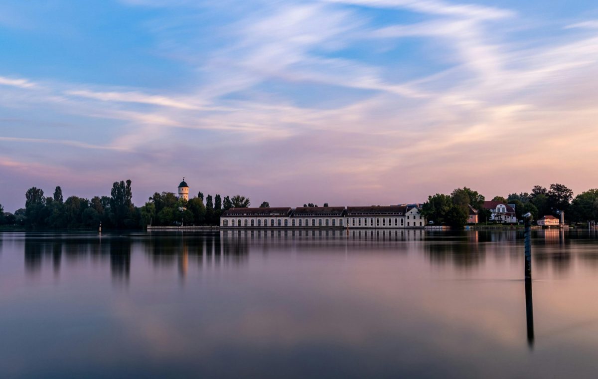 pexels-masoodaslami-19996237